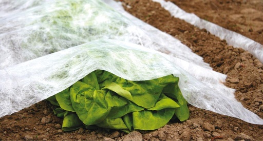[88542] SCALA PLASTICS GARDENFLEECE 1.60X10M ref 7205.8500