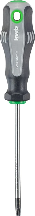 [118249] kwb|TORX SCHROEVENDR.  T25X100 MM|art 669225|EAN 4009316692257 |