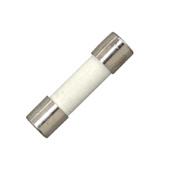 [36896] GLASZEKERING SNEL 250V 5X20MM 10A 3ST