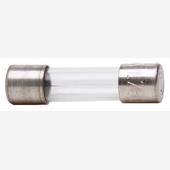 [36898] GLASZEKERING SNEL 250V 5X20MM 2A 3ST