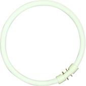 [103114] TL CIRCLINE T5 FC55W/840 4200LM 4000K 2GX13 SLEEVE